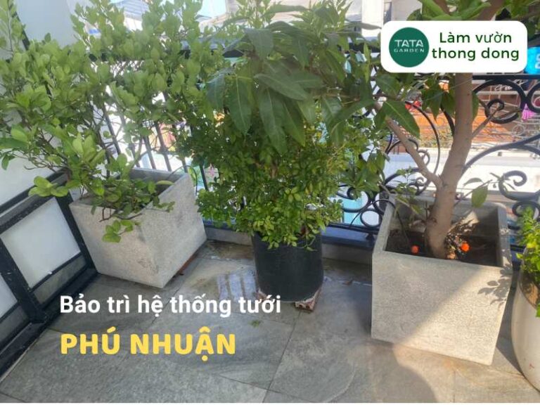 Bảo trì hệ thống tưới cây tự động tại Phú Nhuận