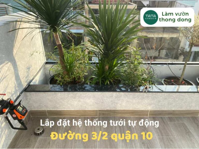 Thi công hệ thống tưới cây tự động tại nhà khách Đường 3/2 quận 10