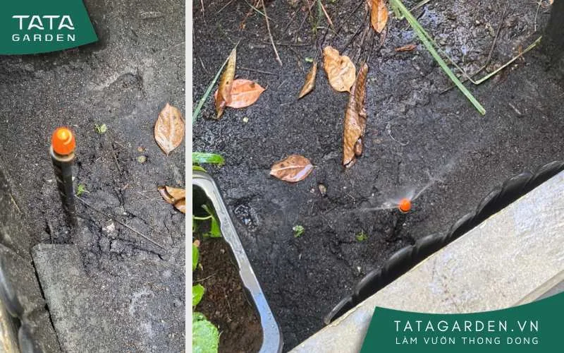 Béc phun mưa Micro được lắp đặt cho sân vườn