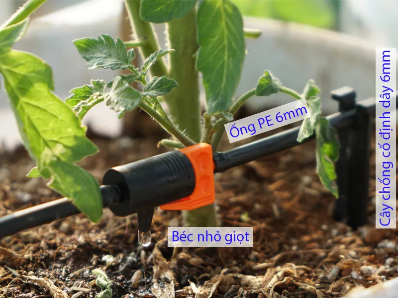 Béc tưới nhỏ giọt