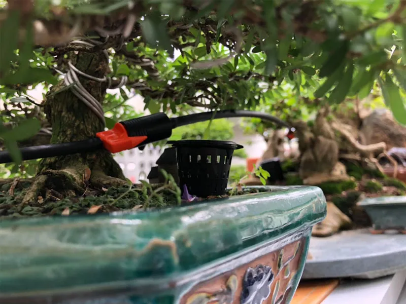 Hệ thống tưới nhỏ giọt chính xác đến từng gốc cây