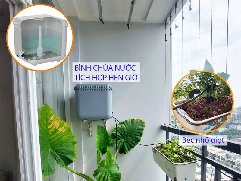 Ứng dụng bình tưới cây tự động dành cho khu vực không có vòi cấp nước
