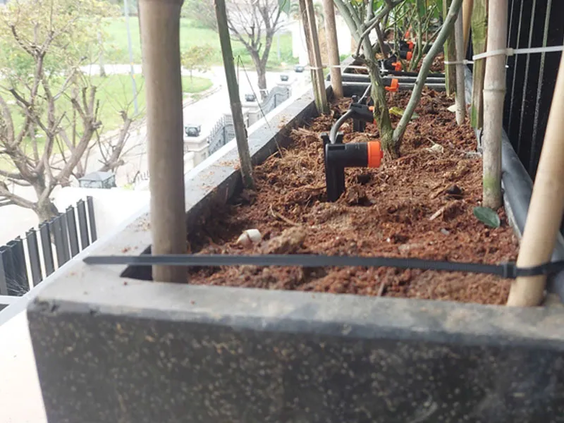 Hệ thống tưới tự động được lắp đặt gọn gàng, thẩm mỹ