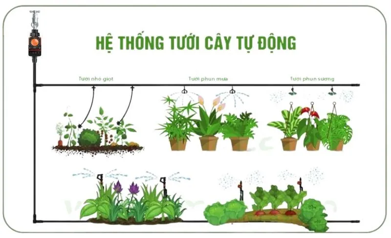 Tổng hợp giải pháp tưới tự động cho cồn trình nhà ở riêng lẻ