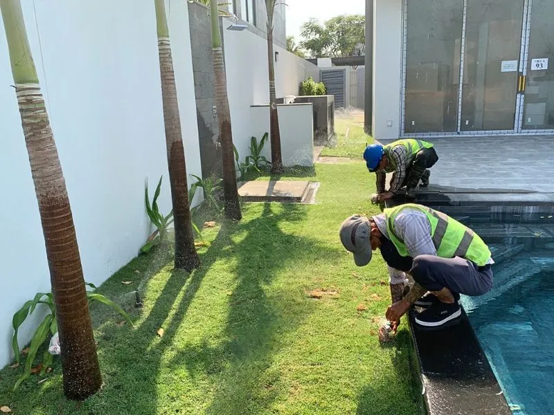 Hệ thống tưới tự động được lắp đặt cẩn thận, gọn gàng