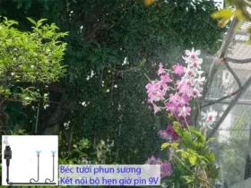 Hệ thống tưới phun sương cho nhà ở riêng lẻ năm 2026