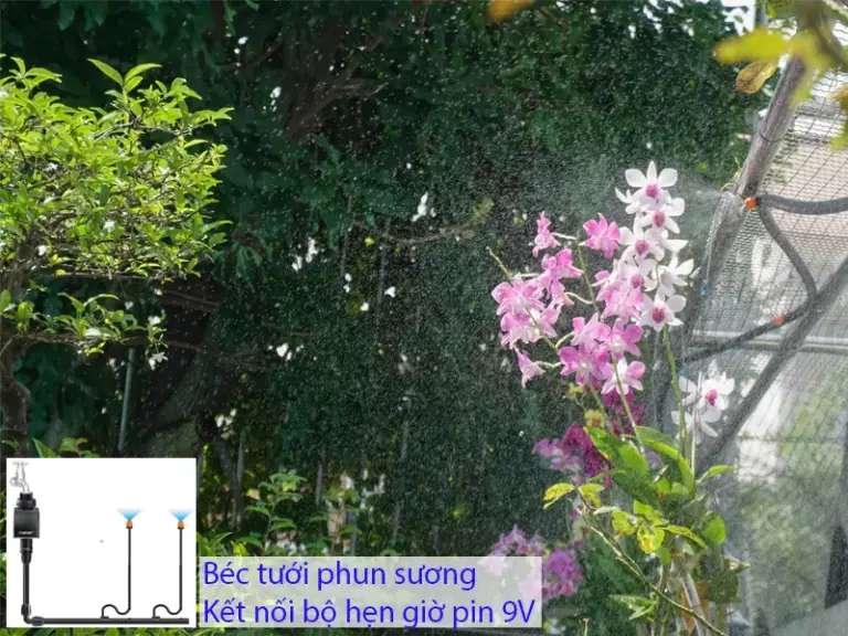 Hệ thống tưới phun sương cho nhà ở riêng lẻ năm 2026