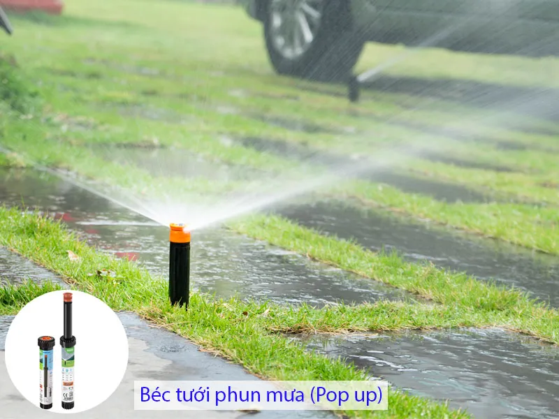 Hệ thống tưới tự động phun mưa dành cho thảm cỏ sân vườn