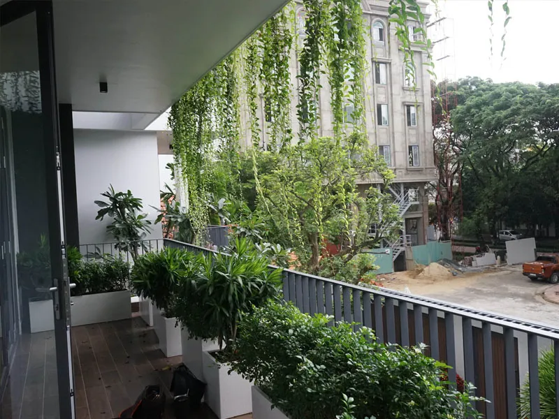 Khu vực trồng cây xanh cho công trình nhà ở riêng lẻ