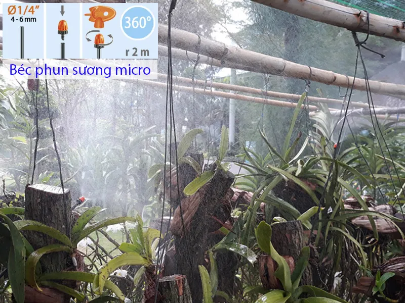 Ứng dụng tưới phun sương cho khu vực chuyên đã được xác định