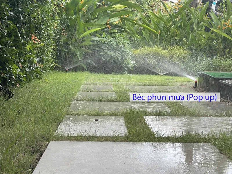 Ứng dụng tưới phun mua cho sân trước và sân sau cho nhà ở