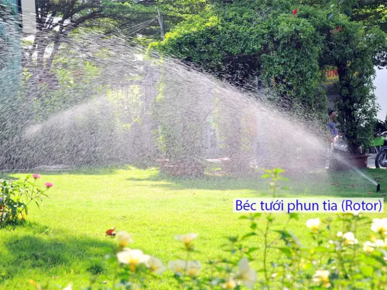 Tưới phun mưa cho công trình nhà ở riêng lẻ như thế nào là hợp lý?