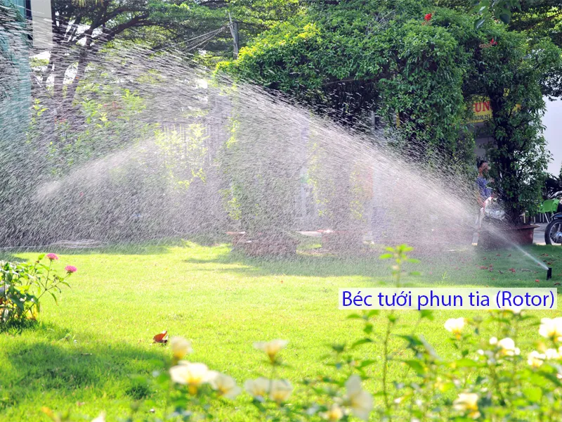 Ứng dụng giải pháp tưới tự động phun mua cho khu vực thảm cỏ