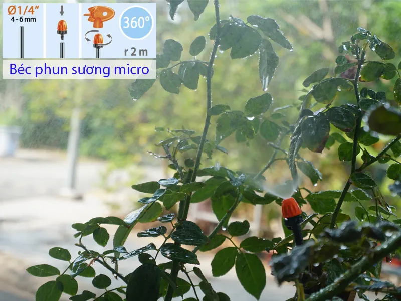 Tưới phun sương theo từng khu vực