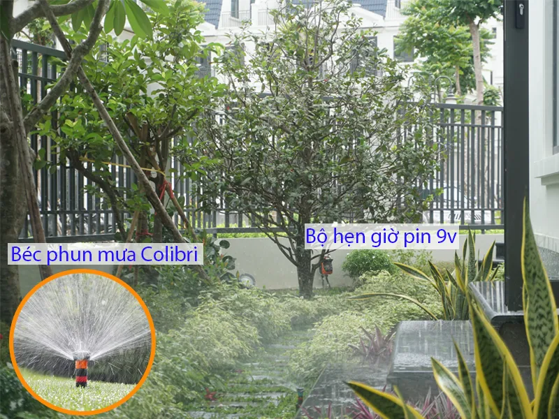 Ứng dụng tưới phun mưa phủ nền