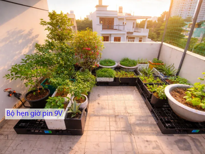 Hệ thống tưới nhỏ giọt dành cho sân thượng