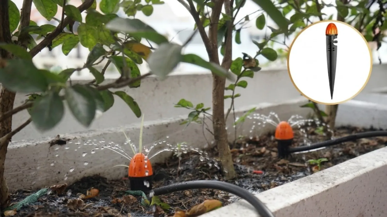 Đầu tưới 8 tia chân cắm điều chỉnh được