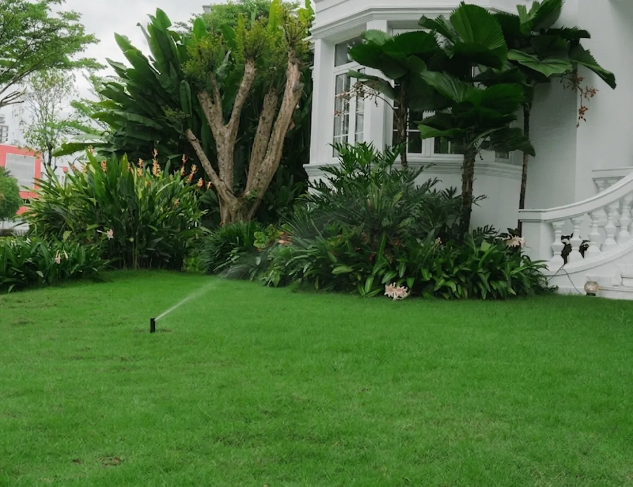 Hình ảnh hệ thống tưới đang hoạt động