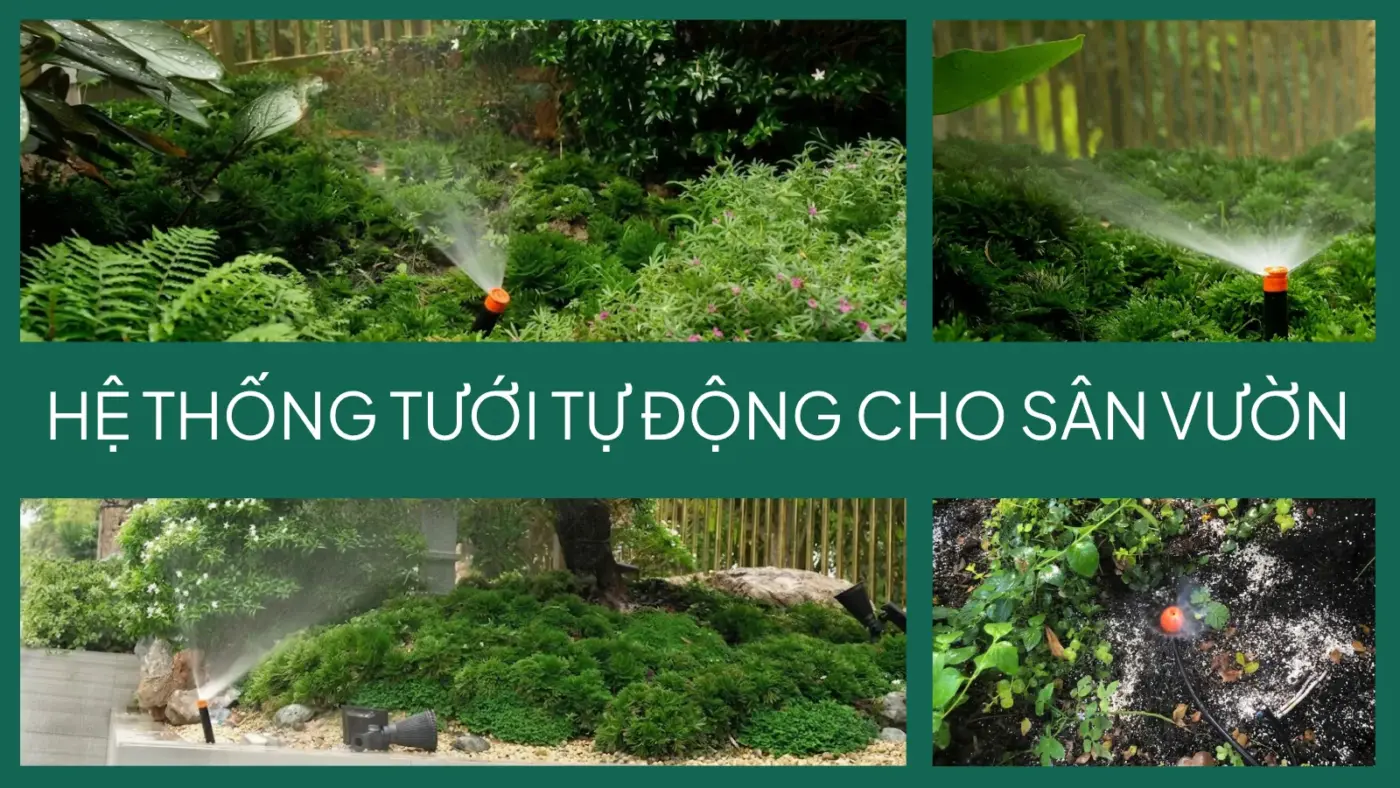 Hệ thống tưới tự động cho sân vườn