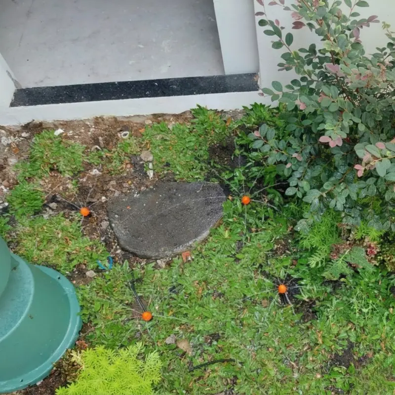 Một số công trình hệ thống tưới tự động