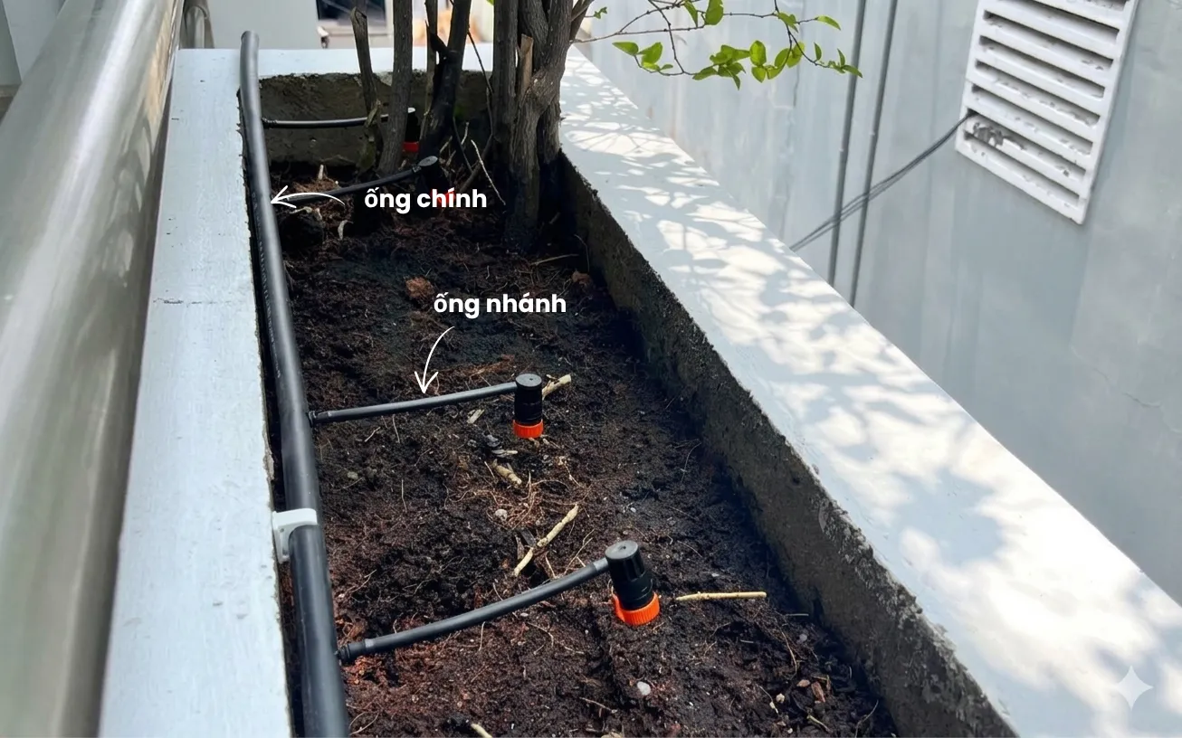 Ống chính và ống nhánh trong thực tế