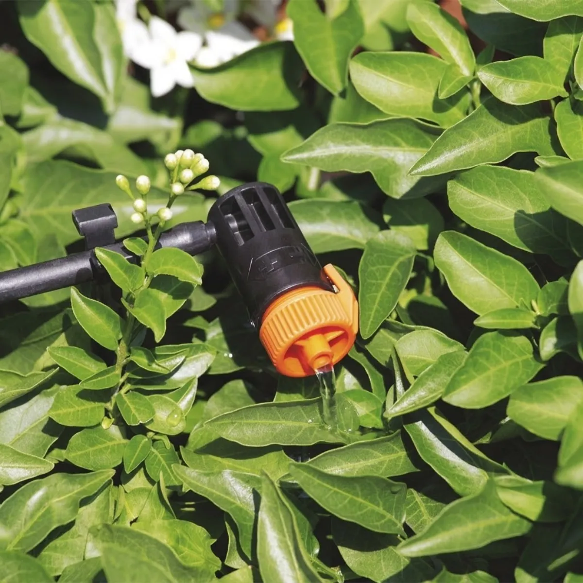 Béc tưới nhỏ giọt