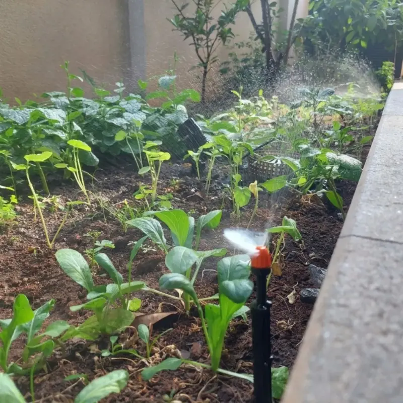 Một số công trình hệ thống tưới tự động