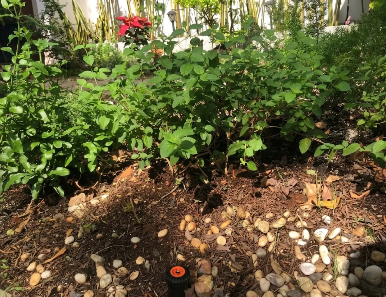 Béc tưới cỏ popup