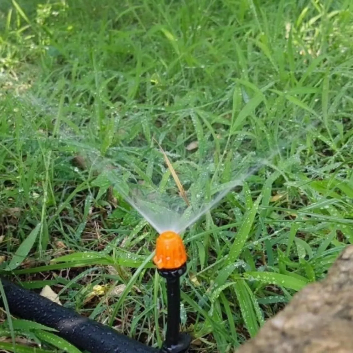 Béc tưới phun mưa