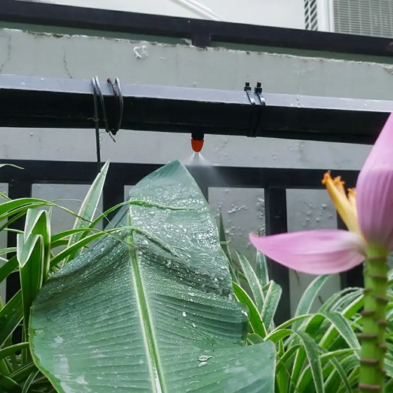 Một số công trình hệ thống tưới tự động