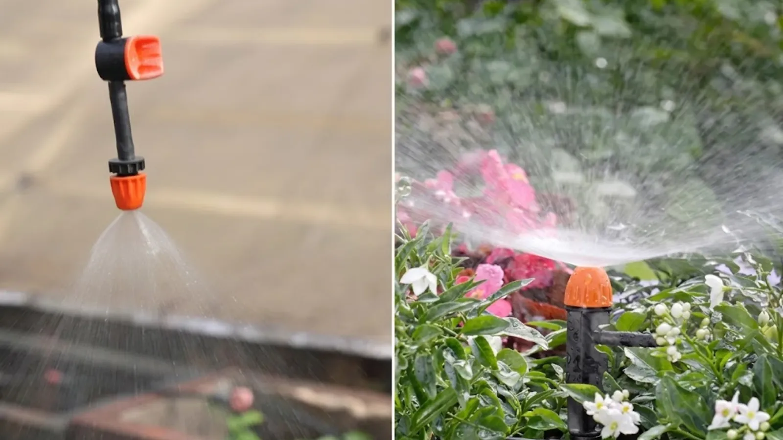 Béc tưới phun sương có chân cắm và không có chân cắm