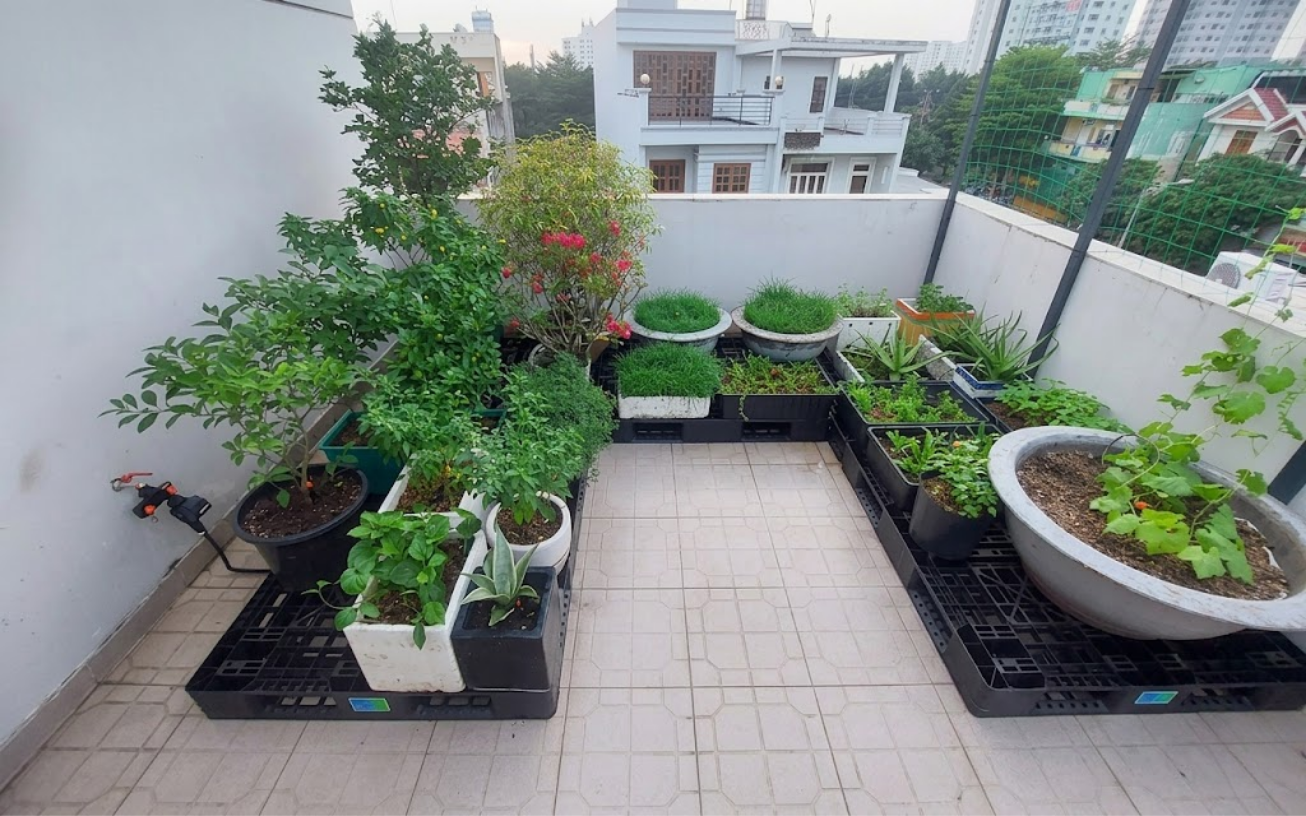 Hệ thống tưới tự động cho sân thượng