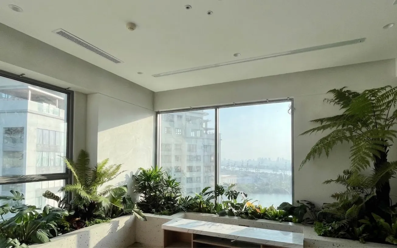 Một góc không gian cây xanh nhà khách