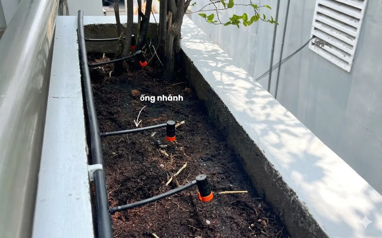 Thiết kế các đoạn ống nhánh dẫn nước từ ống chính đến béc tưới