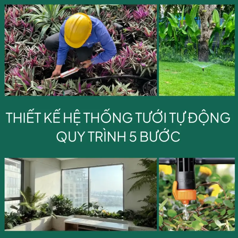 Thumbnail 5 bước thiết kế tưới tự động