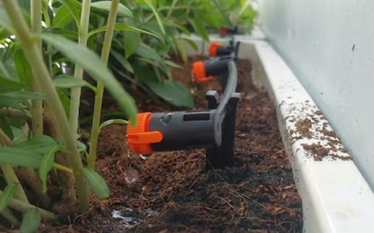 Béc tưới nhỏ giọt