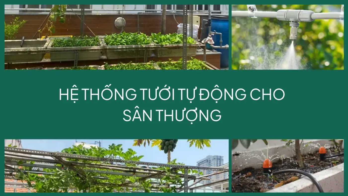 Hệ thống tưới tự động cho sân thượng
