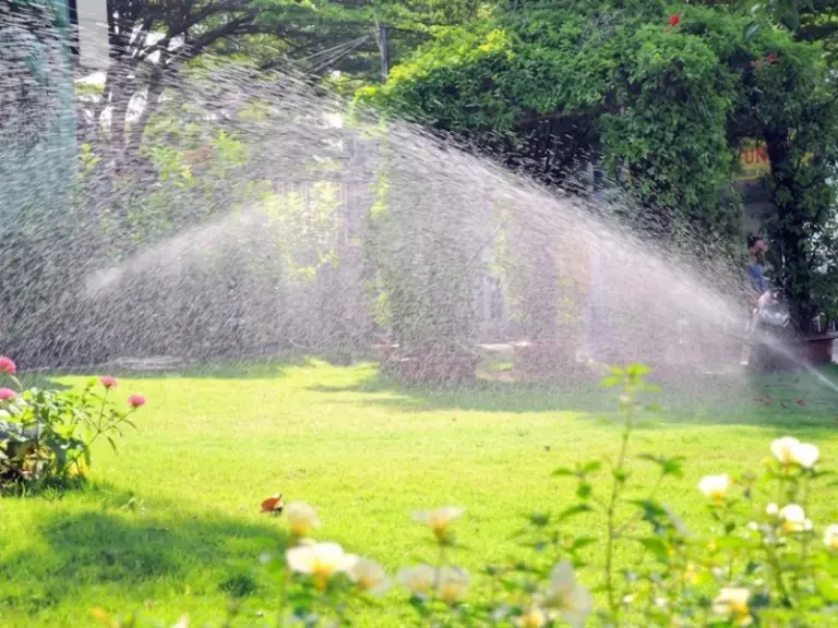 Lắp đặt hệ thống tưới tự động cho khuôn viên công ty Cảnh Quan Việt tại KDC Gia Hòa, Quận 9