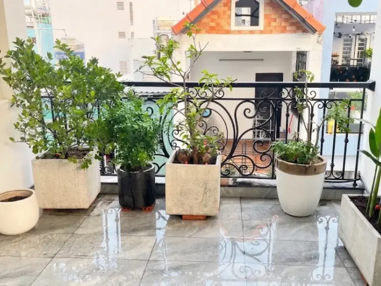 Lắp đặt hệ thống tưới cây tự động cho ban công tại Phú Nhuận, TP. HCM