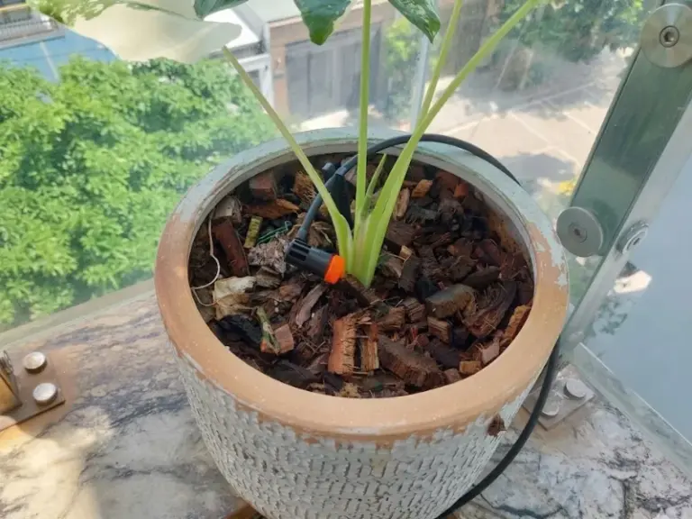 Thi công hệ thống tưới tự động nhỏ giọt cho ban công tại Quận 12, TP. Hồ Chí Minh