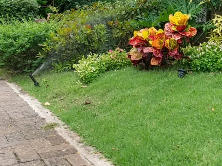 Bảo trì hệ thống tưới cây tự động định kỳ cho biệt thự tại Quận 7, TP.HCM