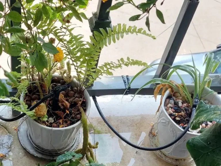 Thi công lắp đặt hệ thống tưới ban công nhà phố quận 8