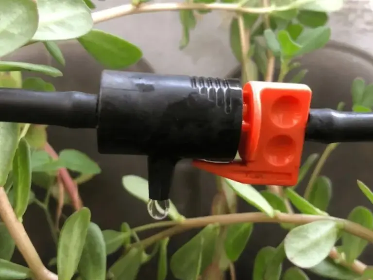 Lắp đặt hệ thống tưới nhỏ giọt ban công tại Quận 9, TP.HCM