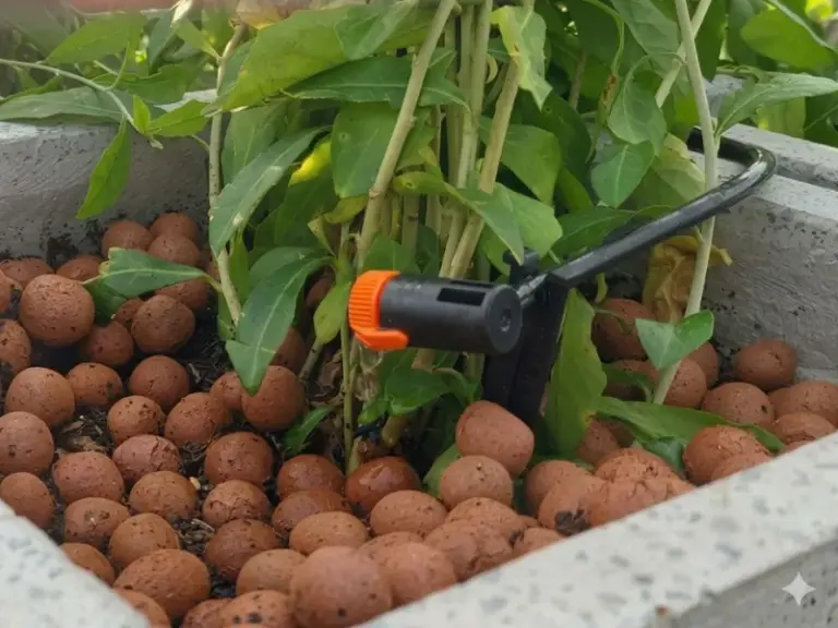 Thiết kế và thi công hệ thống tưới cây tự động tại KDC Đông Tăng Long, Quận 9