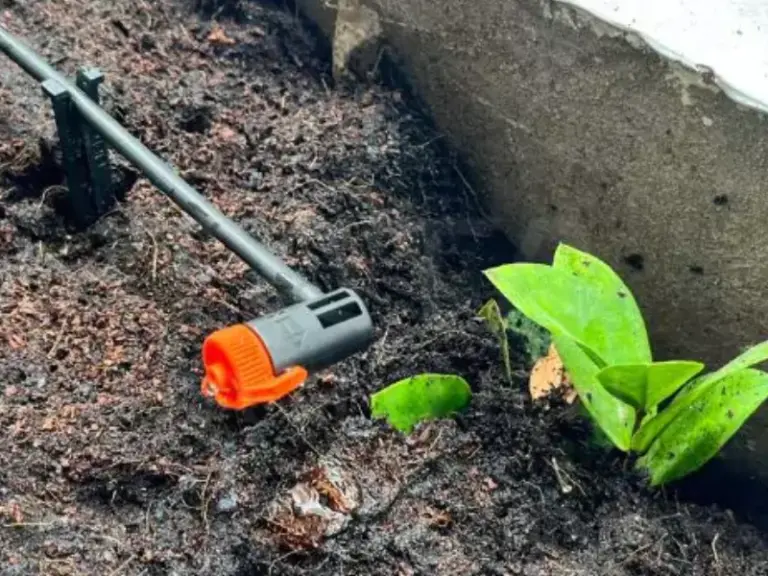 Thi công hệ thống tưới cây tự động sân thượng tại Bình Thạnh – Hồ Chí Minh