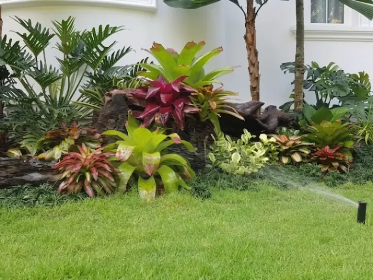 Lắp đặt và bảo trì hệ thống tưới tự động cho biệt thự Chateau – Phú Mỹ Hưng, Quận 7