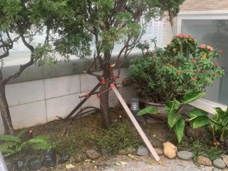 Hệ thống tưới cây tự động sân vườn nhà khách tại Cầu Giấy, Hà Nội