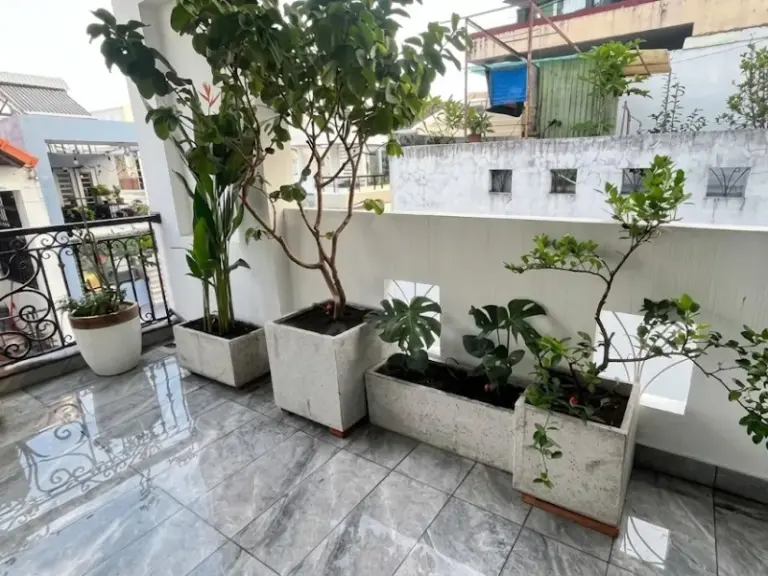 Lắp đặt hệ thống tưới cây tự động cho ban công tại Phú Nhuận, TP. HCM
