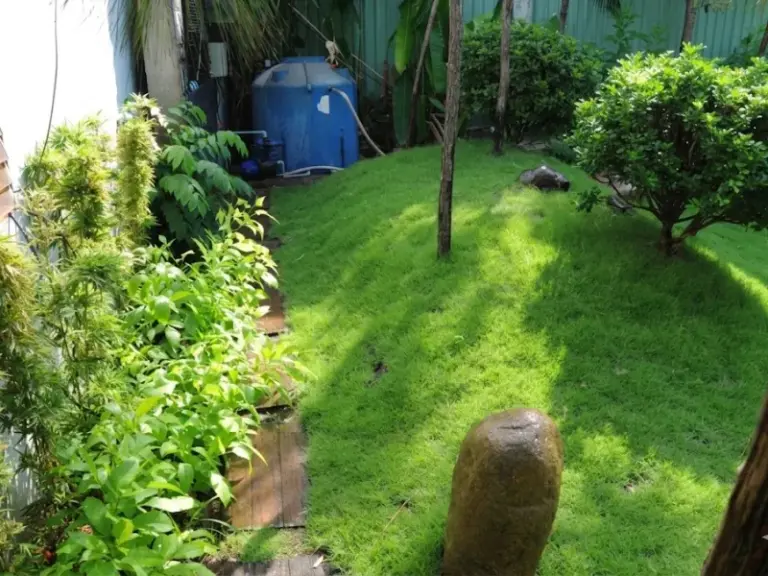 Lắp đặt hệ thống tưới tự động cho khuôn viên công ty Cảnh Quan Việt tại KDC Gia Hòa, Quận 9
