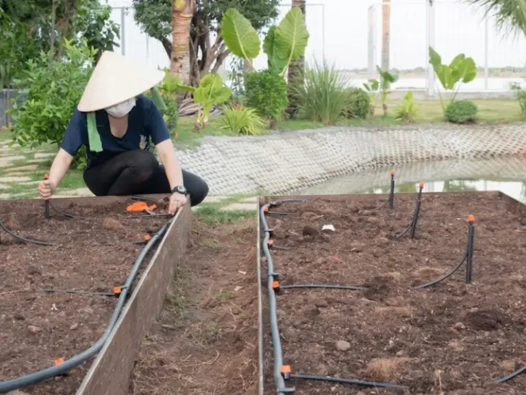 Lắp đặt hệ thống tưới tự động cho khu vườn rau mới tại TP. Thủ Đức, TP.HCM